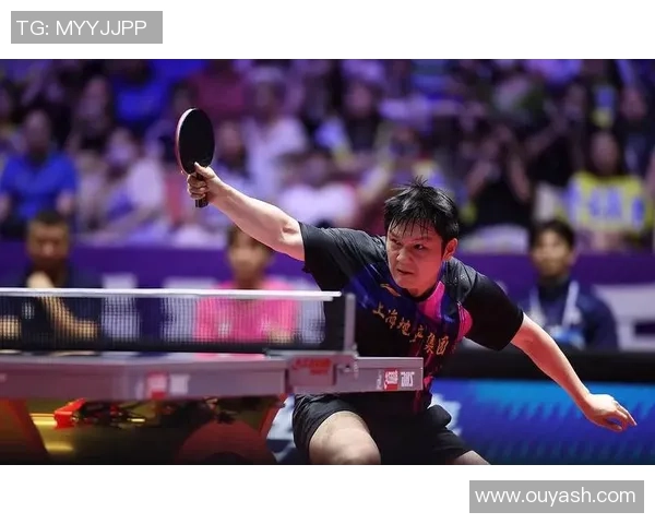 樊振东在德甲训练收获新技术师傅称其取长补短效果显著